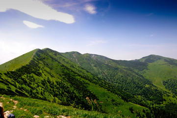 Obraz premium Summer landscape with blue sky and clouds