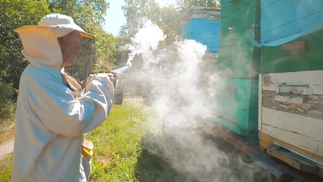 bee-maker lifestyle beekeeper man working of a smoke pipe beeper smoker device for repelling evil bees. slow motion video. apiary. beekeeping concept bee agriculture