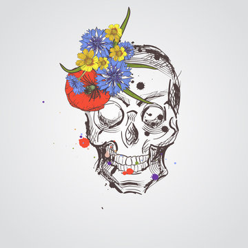 Skull with flowers. Vector hand drawn skull with wild flowers. Skull with flowers isolated on white background