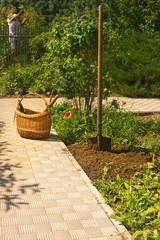 Obraz premium Garden Path in Private Garden. Wicker Bascket and Metal Shovel.Summer Sunny day.