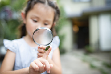 タマムシを虫眼鏡で見る女の子