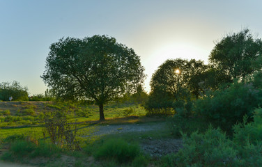 Cloudy sky and sunlight over sandy desert
