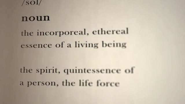 Soul Definition