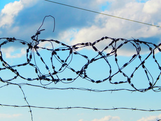look at the sky through a barbed wire