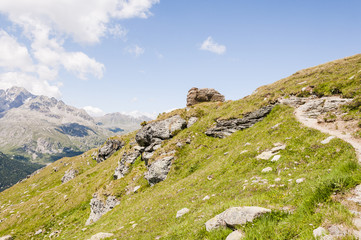 Silvaplana, Corvatsch, Höhenweg, Wasserweg, Wanderweg, Furtschellas, Piz Julier, Piz Corviglia, Sommer, Oberengadin, Graubünden, Schweiz