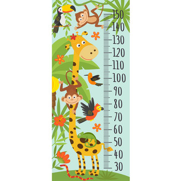 growth measure with giraffe and other jungle animals -  vector illustration, eps