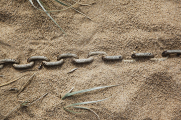 Fototapeta na wymiar Metal Chain In Sand