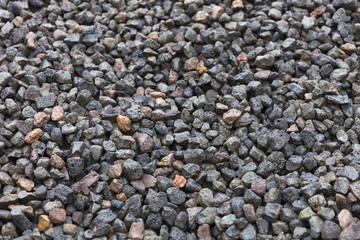 Wet Rocks On The Beach