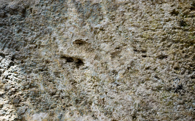 Texture gray plastered wall for background
