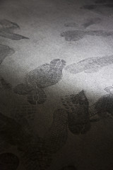 Foot Prints Carpet