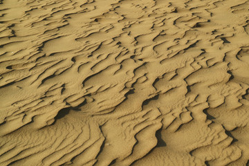 Gorgeous sand ripple pattern on the sand dune of Huacachina desert, Ica, Peru 