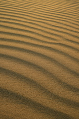 Abstract pattern of desert sand ripples in the evening sunlight at Huacachina sand dune in Peru 