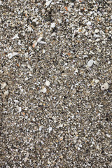 Tiny Broken Shells
