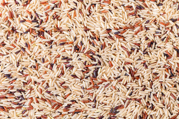 texture assorted rice close-up