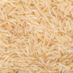 texture basmati rice steamed close-up