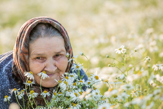 old lady in a field with daisies. Summer portrait.