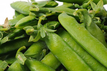 Young green peas in sticks on a white background. Front view.