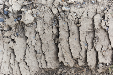 Arid Mud Shape