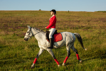 The horsewoman on a red horse. Horse riding. Horse racing. Rider on a horse.