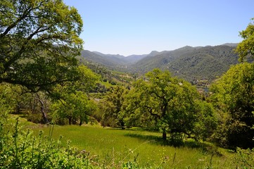 Obraz premium Beautiful Landscape of Trees, mountains, hills and grass field in California, United States