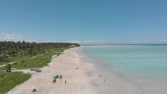paraglider flying over beautiful beach in brazil near palm trees