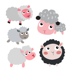 sheep character vector design