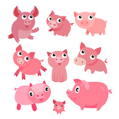 pig character vector design