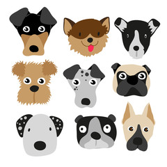 dog character vector design