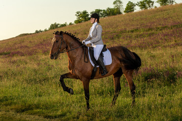 Young woman rider with her horse in evening sunset light. Outdoor photography in lifestyle mood