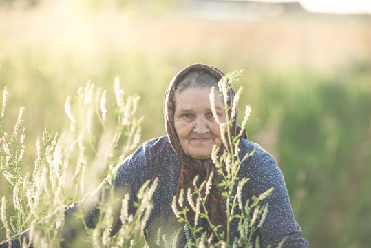Close-up of a grandmother in golden herbs for a walk in the field.