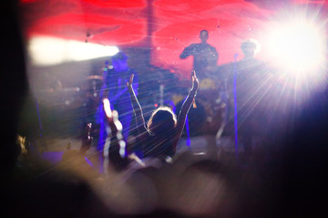 crowd at concert - music festival