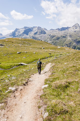 Fototapeta premium Sils, Corvatsch, Bergsee, Wasserweg, Lejin Rhodonit, Wanderer, Bergwiesen, Wanderweg, Furtschellas, Oberengadin, Sommer, Graubünden, Schweiz