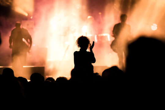 crowd at concert - music festival