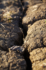 Cracked dry earth
