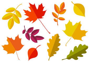 Vector set of decorative autumn leaf silhouettes.