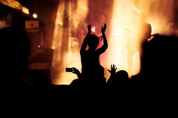 crowd at concert - music festival