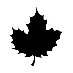 grape leaf isolated icon vector illustration design
