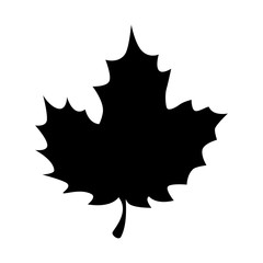 grape leaf isolated icon vector illustration design