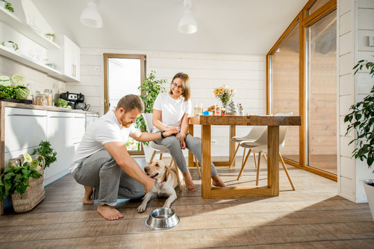Young couple playing with dog during a breakfast in the dining room of their beautiful wooden country house