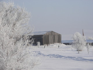 winter landscape