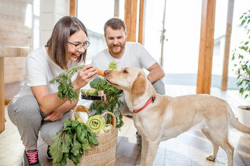 Young couple feeding their dog with healthy green food from the eco market at home © rh2010