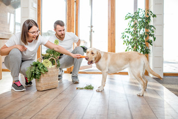 Young couple feeding their dog with healthy green food from the eco market at home