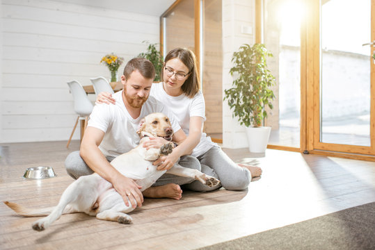 Young lovely couple in white t-shirts playing with their dog sitting on the floor in the house