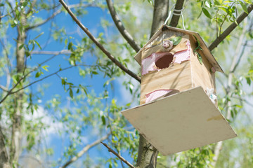 A bird feeder in the form of a beautiful house hanging on a tree in the summer.