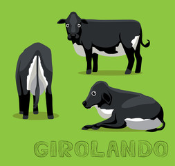 Cow Girolando Cartoon Vector Illustration