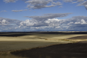 Fototapeta na wymiar Grass Lands of Idaho