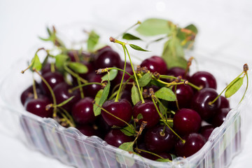 Close up of pile of ripe cherries with stalks and leaves on white background