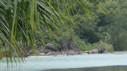 Seychellen-Palmen,Strand und mehr 