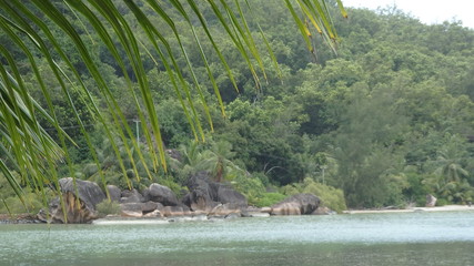 Seychellen-Palmen,Strand und mehr 