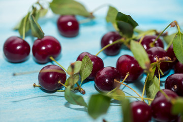 Close up of pile of ripe cherries with stalks and leaves on blue wooden background